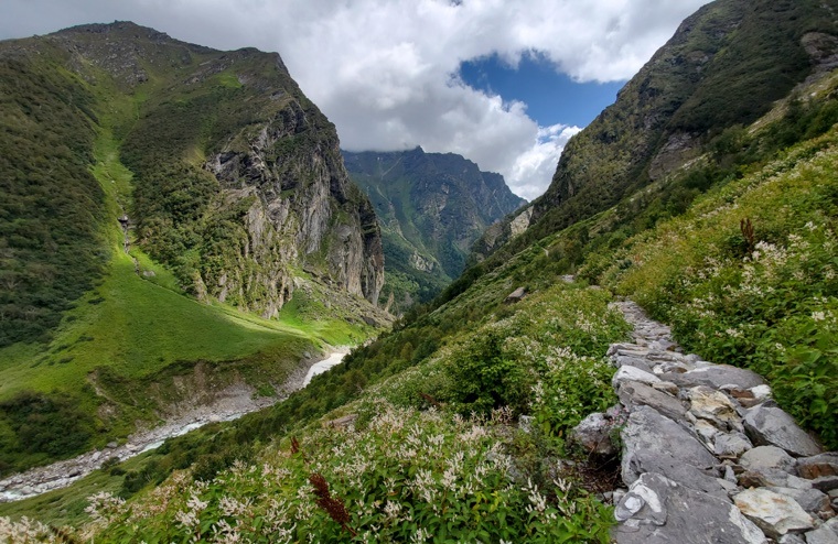 Valley of Flowers